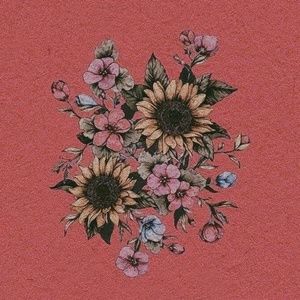 Meet your Posher, Joy